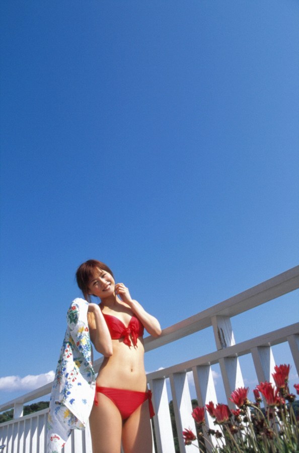 新垣里沙 ビキニ グラビア